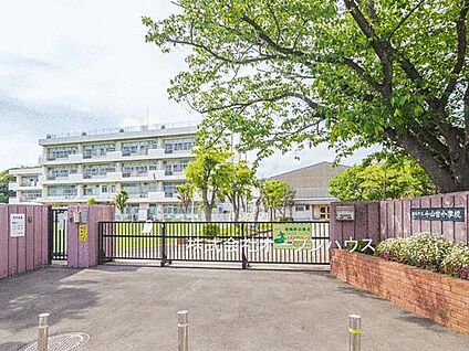 横浜市立小山台小学校 363m