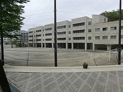豊島区立千登世橋中学校 911m