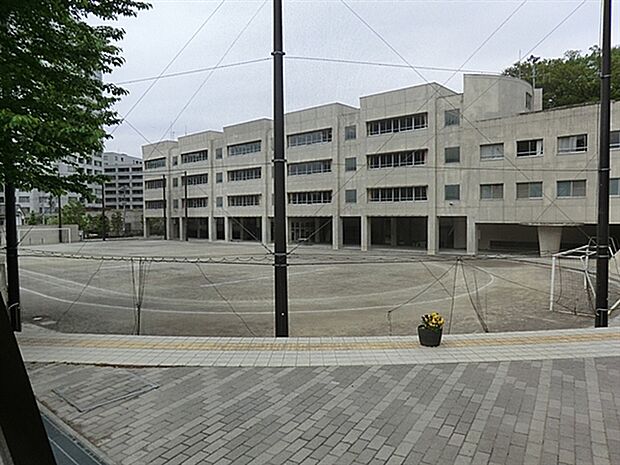 豊島区立千登世橋中学校(約911m)