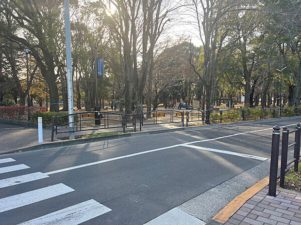 城北中央公園(約257m)
