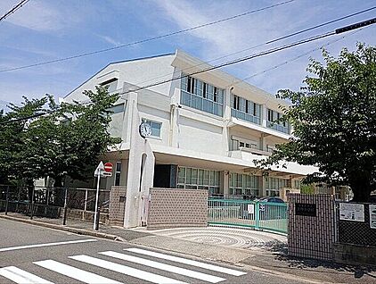 名古屋市立上野小学校 507m