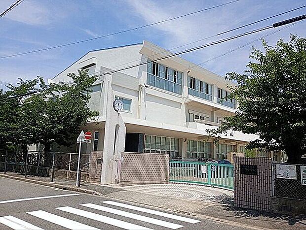 名古屋市立上野小学校(約507m)
