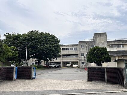 松戸市立貝の花小学校 493m