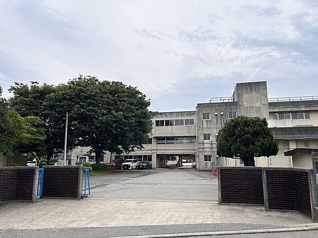 松戸市立貝の花小学校(約493m)