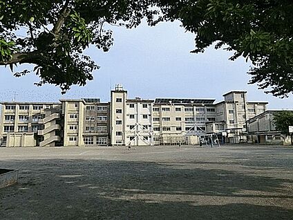 藤沢市立羽鳥小学校 552m