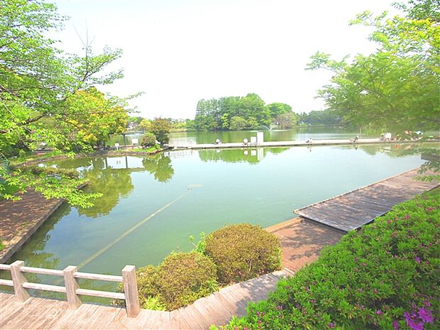 等々力緑地（約820m）