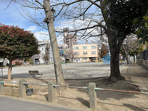 浜町公園（約303m）