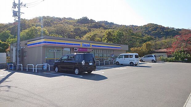 ミニストップ伊達保原高子店(約1m)