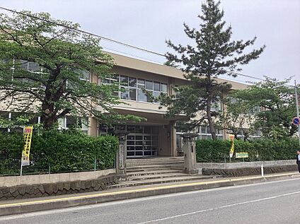 中通小学校 800m