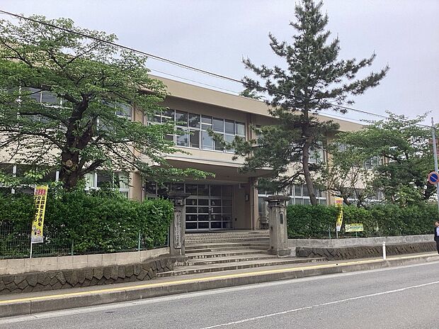 中通小学校(約800m)