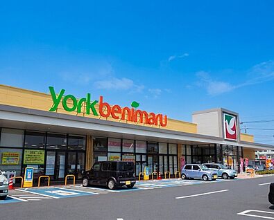 ヨークベニマル鶴田店 800～850m(徒歩10～11分)