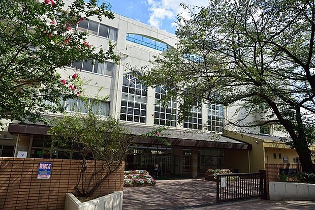 杉並区立宮前中学校（約995m）