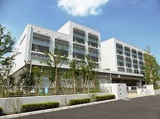 世田谷区立世田谷中学校(約343m)