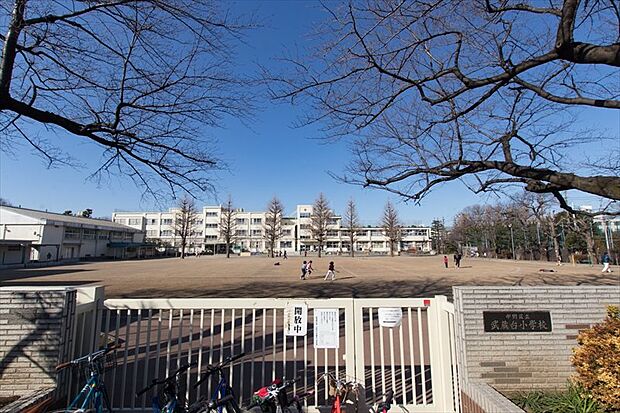中野区立武蔵台小学校（約377m）