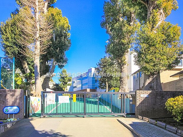 柏市立富勢小学校（約850m）