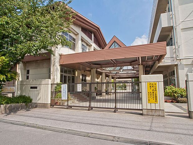 市川市立稲荷木小学校（約800m）