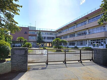 八千代市立八千代台西小学校 1100m