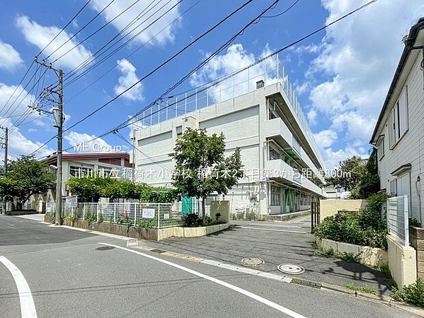 市川市立稲荷木小学校（約800m）