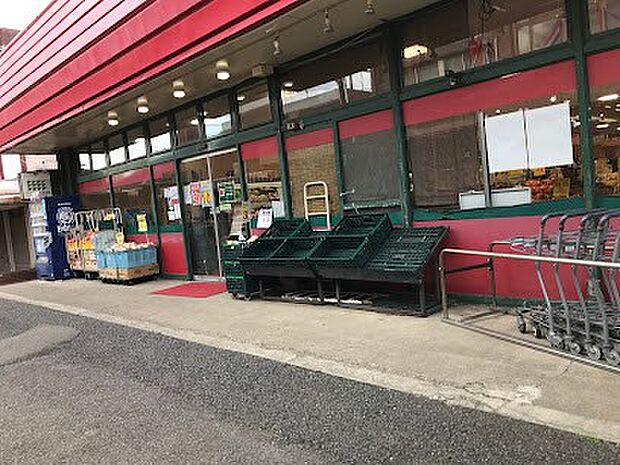 スーパーチェーンカワグチ ＳＣこてはし中央店（約900m）