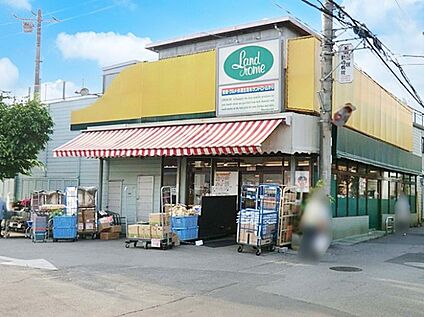 ランドロームフードマーケット三咲店 500m