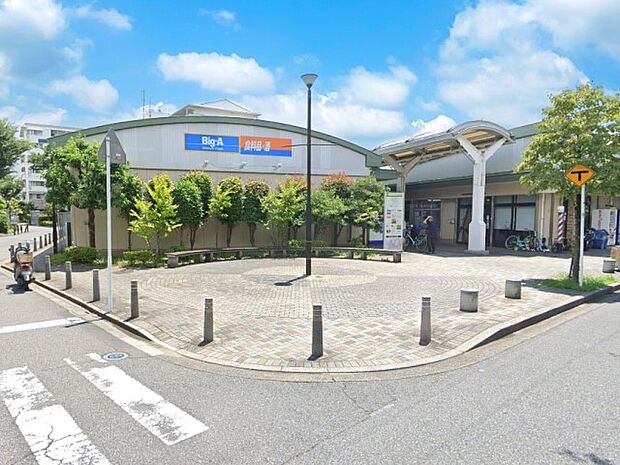 ビッグ・エー 柏光ヶ丘団地店（約900m）