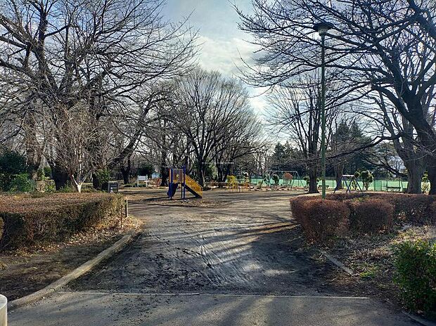 旭が丘中央公園（約1,000m）