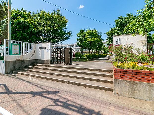 立川市立柏小学校（約500m）