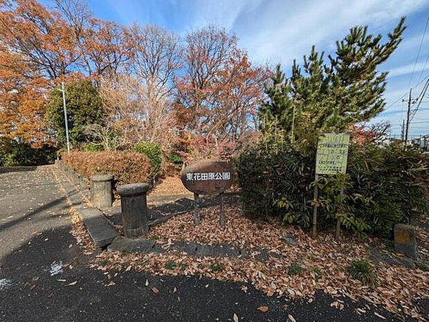 東花田原公園（約400m）