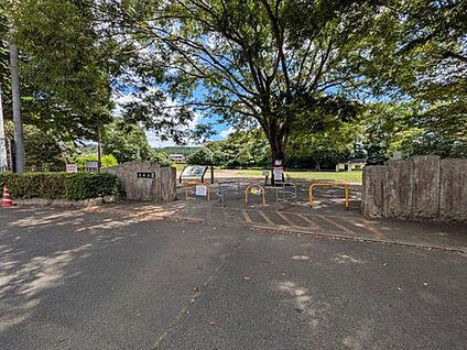 清水公園 1000m (徒歩13分)