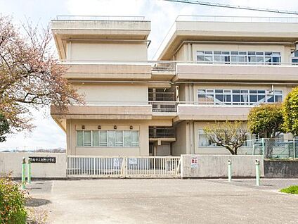 青梅市立新町小学校 1700m(徒歩22分)
