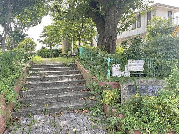 玉川児童遊園(約350m)