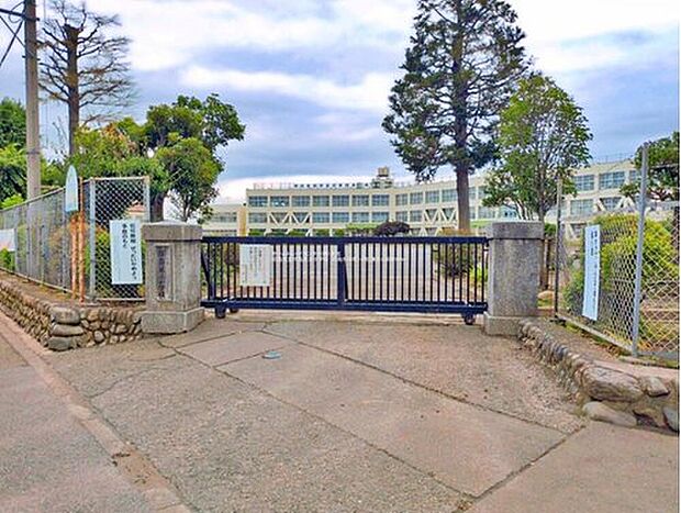 昭島市立拝島第三小学校(約1,000m)