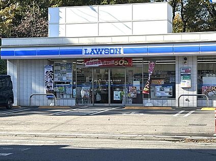 ローソン 小平たかの台店 1000m(徒歩13分/自転車4分)