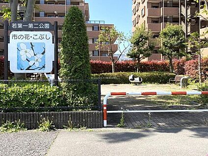 若葉一第二公園 1000m (徒歩13分・自転車で4分)