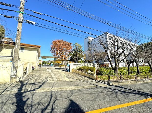 白鳥中学校（約300m）