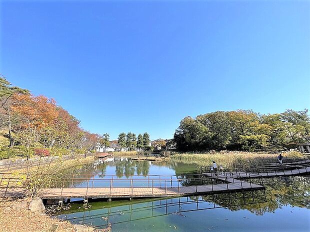 もえぎ野公園（約800m）