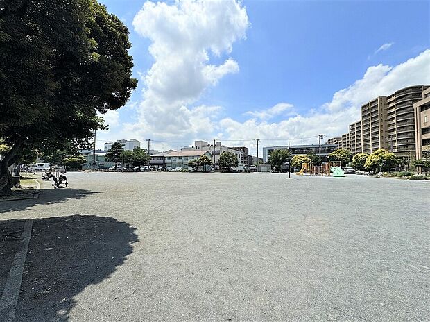 出来野児童公園（約230m）