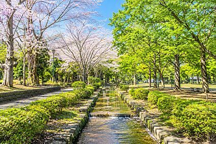 県立行田公園 620m