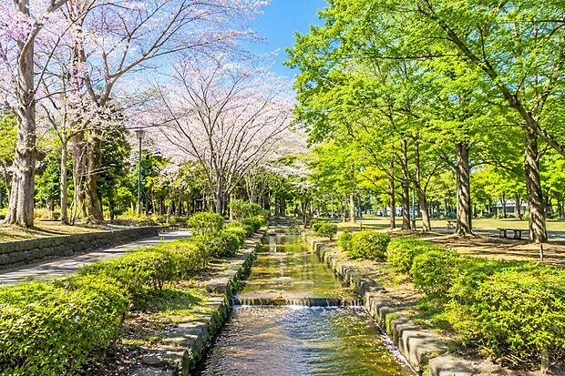 県立行田公園(約620m)