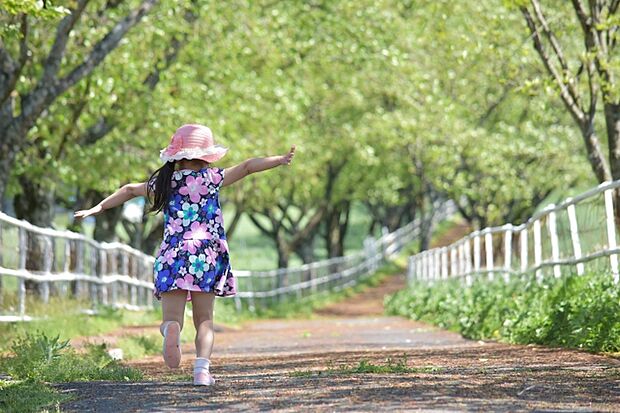 桜の森公園（約1,700m）