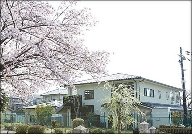 ももやま白菊保育園