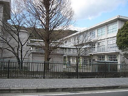 八幡市立八幡小学校 徒歩1100m