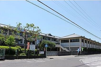 近江八幡市立八幡中学校 徒歩2000m