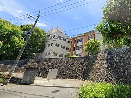 光明台南小学校 徒歩589m