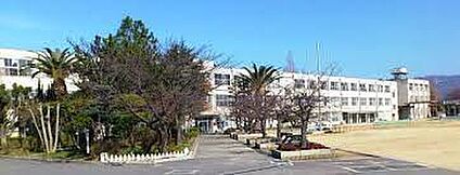 八尾市立八尾中学校 徒歩790m