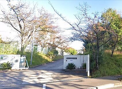 堺市立御池台小学校 徒歩500m