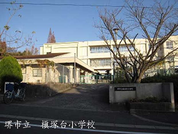 堺市立槇塚台小学校
