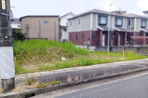 ■Photo/現地写真■