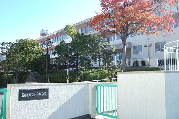 天白中学校（約600m）
