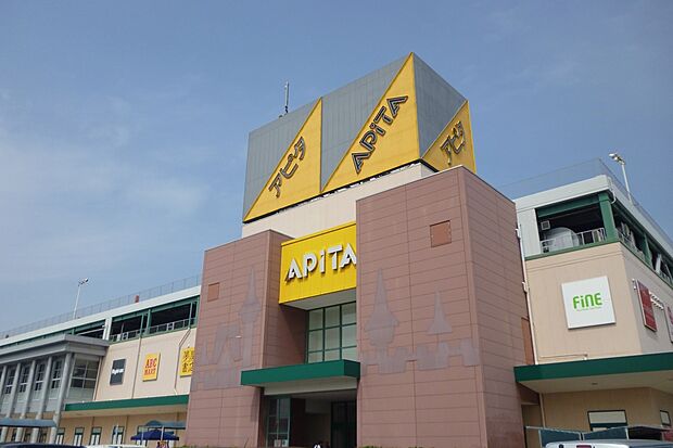 アピタ安城南店
